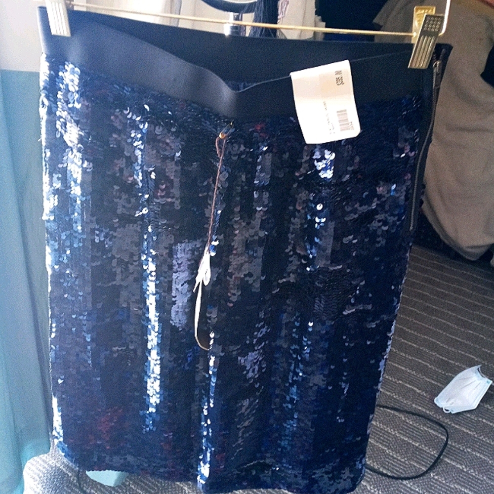 Sequened Skirt by Jodi Arnold